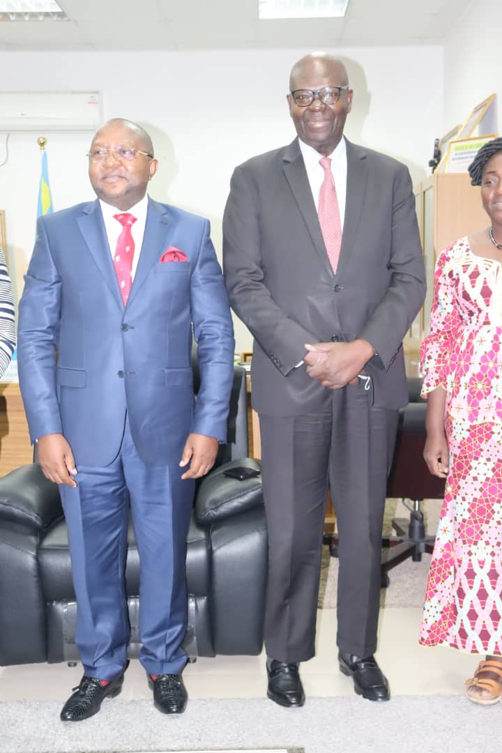 RDC: La situation de la justice transitionnelle en RDC, objet de l’échange entre Albert-Fabrice Puela et les experts internationaux des Nations-Unies