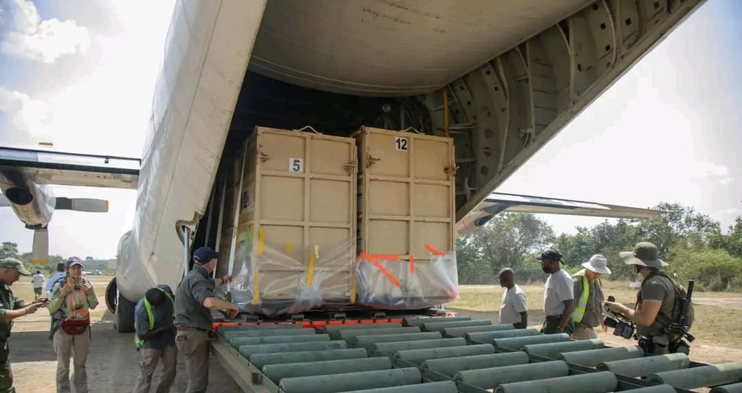 RDC – Conservation : Garamba accueille une nouvelle vague de rhinocéros blancs venus d’Afrique australe