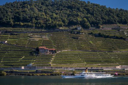 DIPLOMATIE : « Est de la RDC », salut caché, temps imparti et misère redoutable