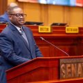 RDC : DOUDOU FWAMBA RESSUSCITE UN REVE FINANCIER VIEUX DE 55 ANS