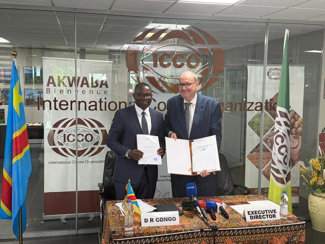 Cacao : la RDC s’impose progressivement parmi les géants mondiaux du secteur