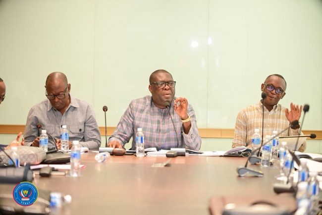 Référendum en RDC : la Commission PAJ du Sénat valide son rapport