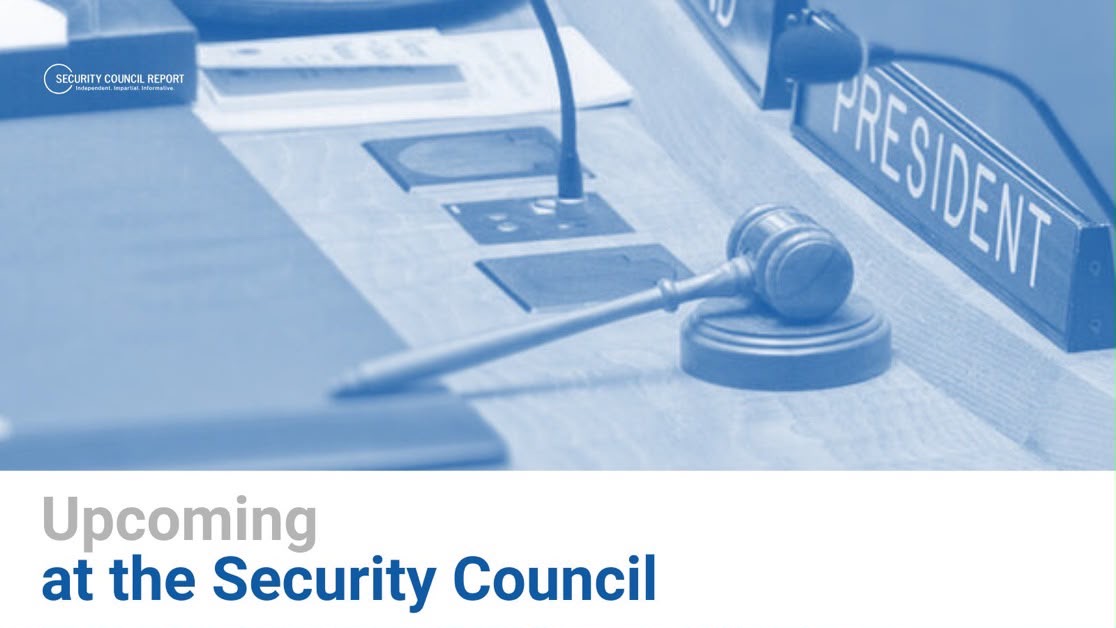 TSHISEKEDI REMPLACÉ AU CONSEIL DE SÉCURITÉ PAR KAYIKWAMBA WAGNER