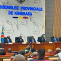 RDC : la rentrée des assemblées provinciales secouée par les impayés et le boycott