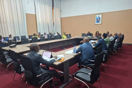Code du numérique en RDC : le Sénat poursuit l’examen de la proposition de loi visant à protéger les mineurs dans l’environnement numérique