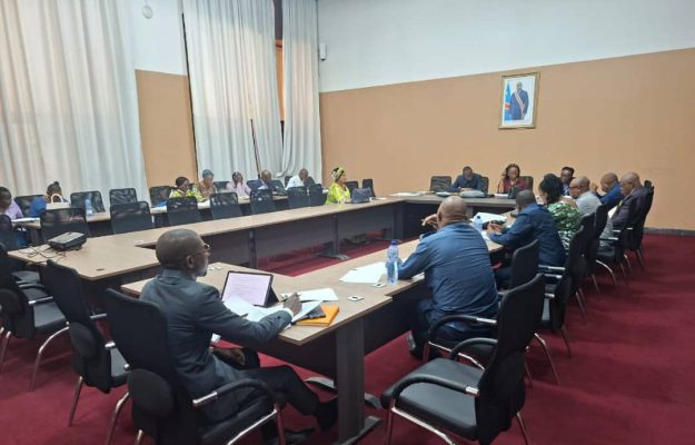 Code du numérique en RDC : le Sénat poursuit l’examen de la proposition de loi visant à protéger les mineurs dans l’environnement numérique