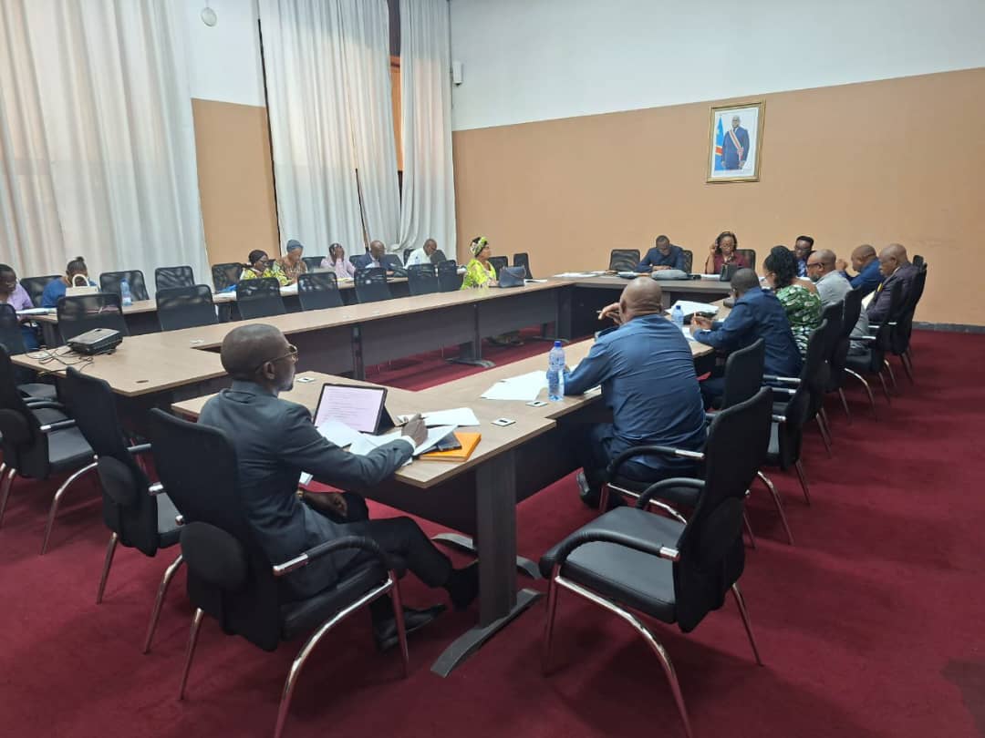 Code du numérique en RDC : le Sénat poursuit l’examen de la proposition de loi visant à protéger les mineurs dans l’environnement numérique